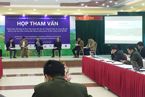 Họp tham vấn nông lâm kết hợp và phục hồi rừng