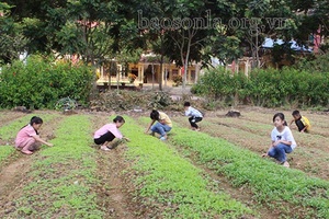 Phù Yên chăm lo cho học sinh bán trú