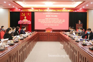 Triển khai kế hoạch phát triển kinh tế - xã hội 5 năm 2021-2025 và năm 2021