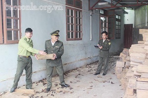 Kịp thời phát hiện và ngăn chặn các hành vi xâm hại rừng