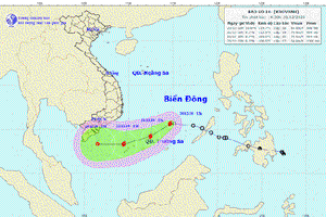 Chủ động phòng chống bão số 14