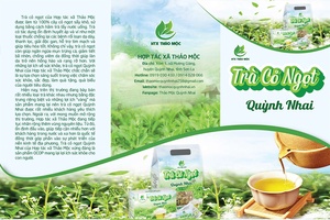 Trà cỏ ngọt Quỳnh Nhai