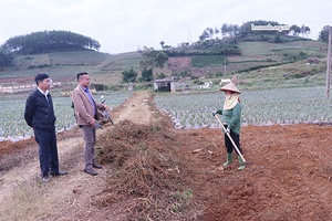 Phát huy vai trò “cầu nối” của đội ngũ báo cáo viên