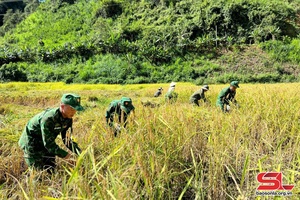 '"3 bám, 4 cùng" ở Đồn Biên phòng Mường Lèo