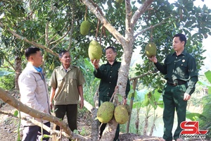 'Vai trò nêu gương của hội viên cựu chiến binh trong xây dựng nông thôn mới