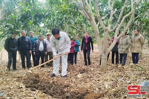 'Mùa đơm hoa, đậu quả