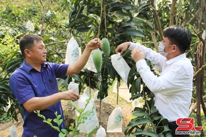 'Chắp cánh cho nông sản vươn xa