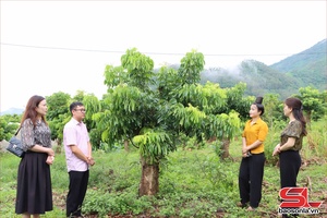 'Hộ nghèo được tiếp cân đồng vốn chính sách