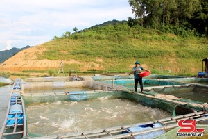 'Phát triển kinh tế vùng lòng hồ