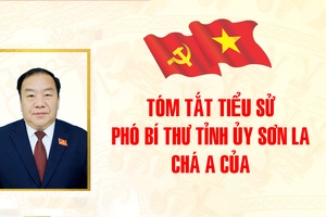 'Tóm tắt tiểu sử Phó Bí thư Tỉnh ủy Chá A Của