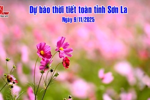 'Dự báo thời tiết toàn tỉnh Sơn La ngày 9/11/2025