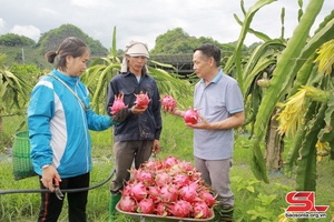 Tẳng tánh phổng dệt dượn hay na xủ công nghệ xùng