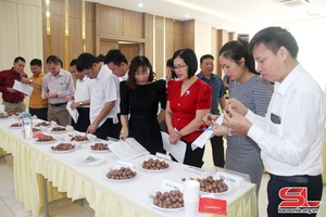 Efforts made to develop “Son La Macadamia” mark
