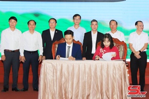 Moc Chau builds e-government, digital government