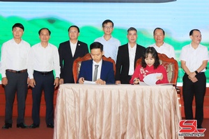 Cxiv tsa nov hâu điện tử, nov hâu số