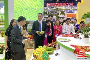 Son La takes part in 20th China-ASEAN Expo