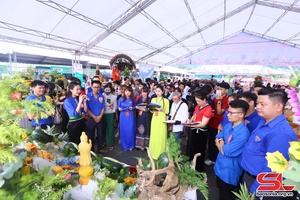 Son La youth support farmers in promoting, selling agricultural products