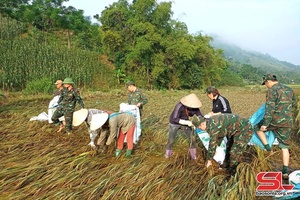 Phù Yên zênhx max cxiv kho têx zav mas ntux nas hiav