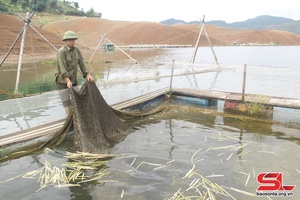 Son La’s aquatic output reaches 7,181 tonnes