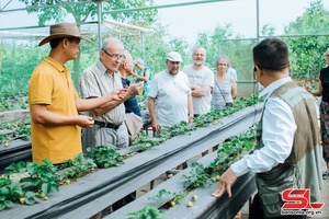 Cooperative plays pioneer role in raising farm produce values 