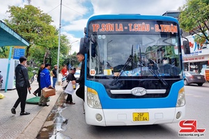 Son La’s transport revenue exceeds 11.23 million USD