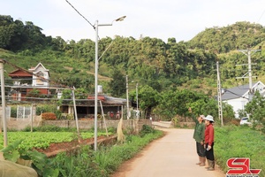 Moc Chau has 251 km of roads, alleys with electric lighting