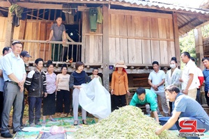 Over 116 billion VND allocated for Son La’s poverty reduction disbursed
