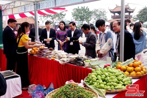 Sơn La chôm hặp pải cáo ảng chương chuông hong qua ỉn phổng tông piêng ma nặm Tao cánh phổng lô saử chằm - Vĩnh Phúc pì 2023