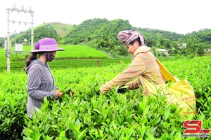 Njik yuôx zêx nhôngk hur si tỉnh tsar ntâu 