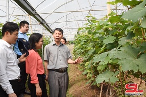 Khoa học công nghệ - chuôz jos huôv tsar