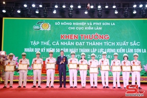 Son La forest rangers celebrate 50th founding anniversary
 