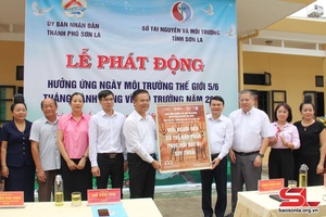 Chôm hặp mự môi trương tênh phén đìn 5/6 cánh Bườn dệt vịa pưa môi trương pì 2024