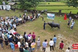 Muôn mụa Hội thi "Quai thớc chăn" 