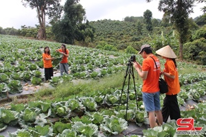 Sendo Farm cạt kiên cạ khài 5 tấn phắc cát pảu