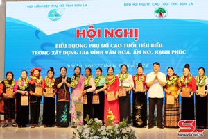 Xừng nhọng phủ nhinh côn tuổi sùng pộn dỏn cuồng tẳng tánh chua hươn văn hóa, ím po, úm ình