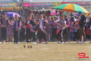 Long Luong to hold peach blossom festival 2025 on February 7-9