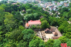 BÓN CẢ NGỌK CÁCH MẠNG