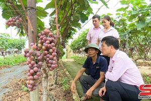 'Tăng cường sự lãnh đạo của Đảng đối với tín dụng chính sách