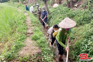Nông dân Sông Mã sản xuất tăng vụ, thêm thu nhập