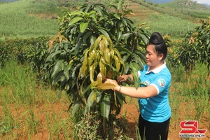 Giúp hội viên nghèo phát triển kinh tế