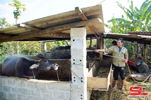 Thêm lực giúp nhân dân Tân Xuân thoát nghèo