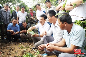 Thành phố ứng phó với biến đổi khí hậu