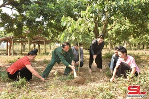 Bộ đội Biên phòng tăng cường về cơ sở