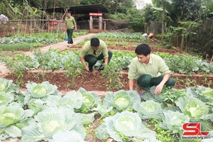 Đẩy mạnh phong trào thi đua Quyết thắng