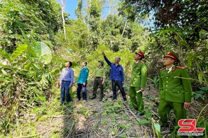 Bảo vệ rừng gắn với tạo sinh kế cho nhân dân