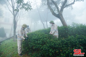Giữ môi trường thêm xanh - sạch - đẹp
