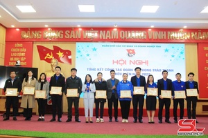 Đẩy mạnh các phong trào thi đua xây dựng tổ chức Đoàn vững mạnh 