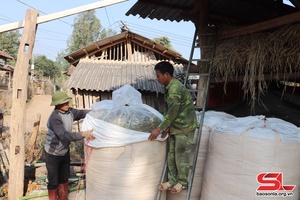 Bảo vệ đàn vật nuôi trong mùa đông