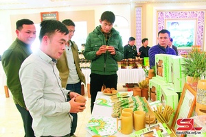 Sản phẩm OCOP từ đồng đất Sơn La