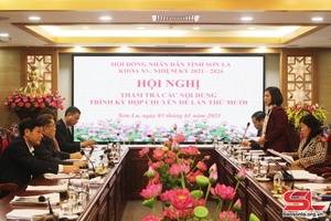 Thẩm tra các nội dung trình Kỳ họp chuyên đề lần thứ X, nhiệm kỳ 2021-2026